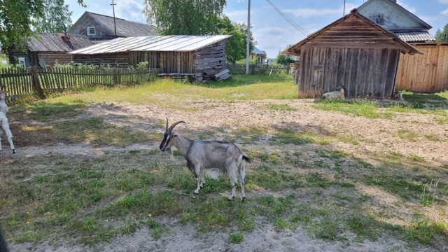 После развода