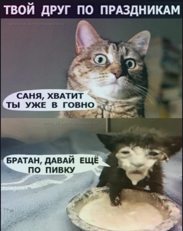 Баянисто-небаянистый юмор 13.08.22