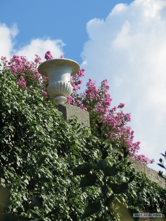 Южный берег Крыма