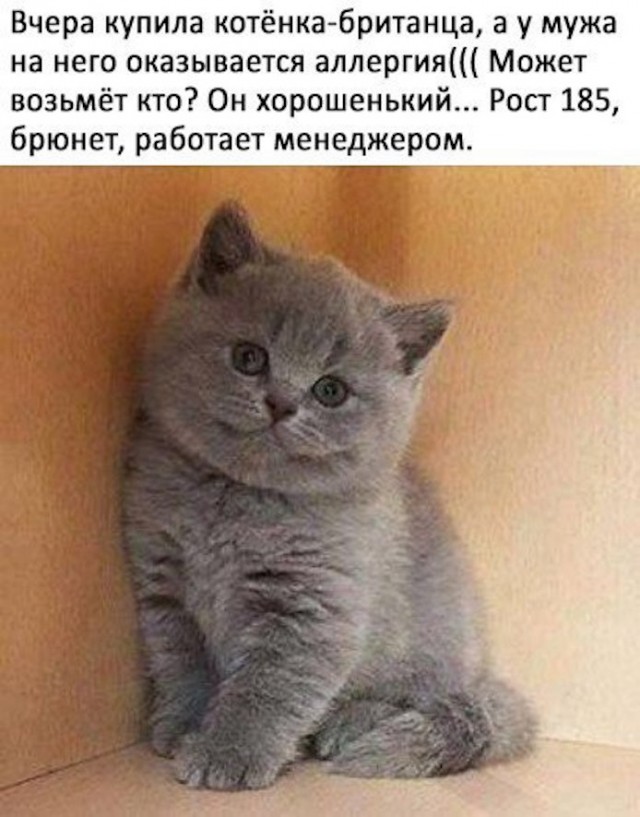 Так себе картинки 20.09.22