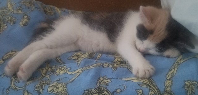 Нам полтора месяца