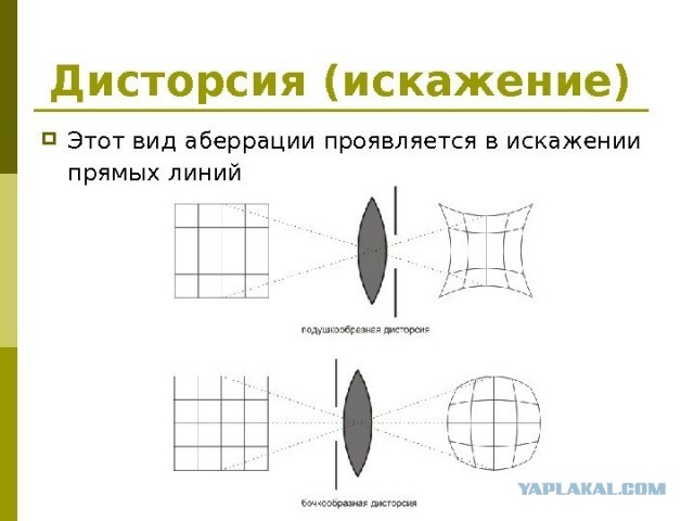 История Луноспоров