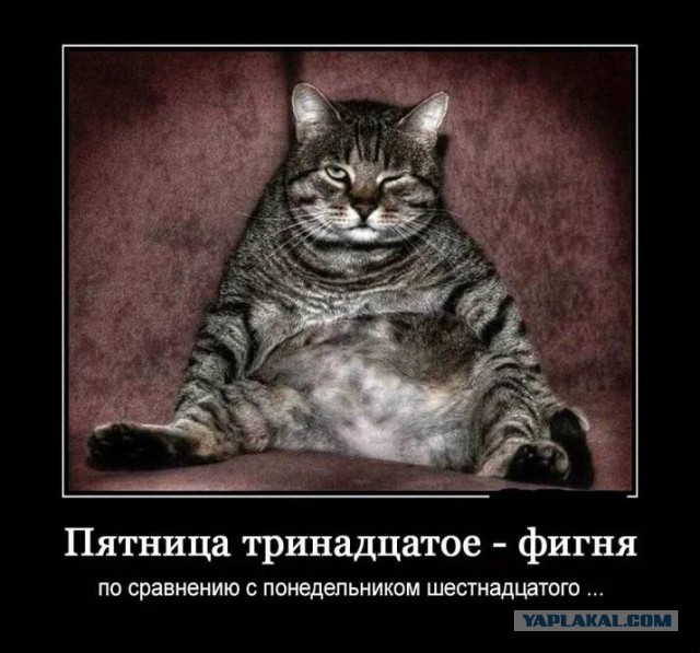 Победная поступь идиотизма по планете – том 5