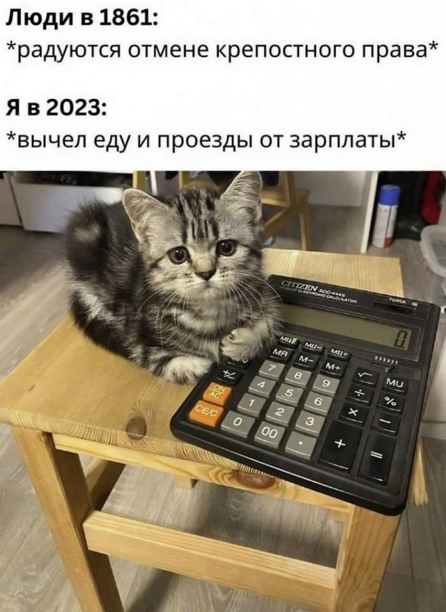 Картинки и мемы, всем хороших выходных