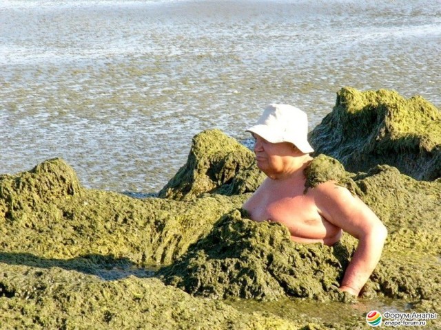 Дети хотели сделать водопад на пляже, но случайно поломали экосистему