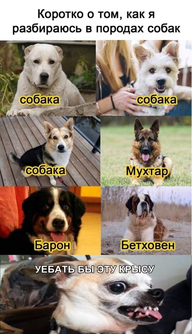 Картинки аморальные и всякие разные - 48