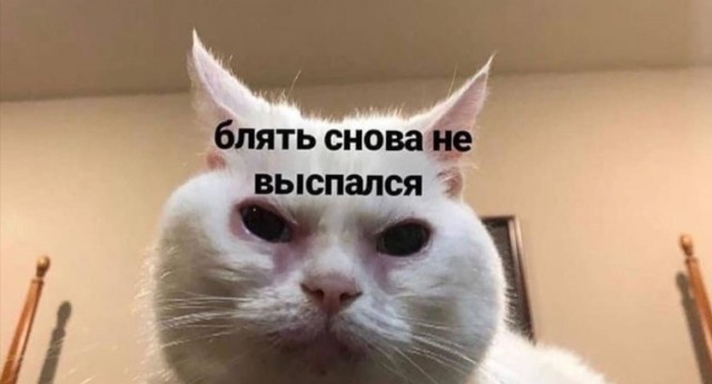 Победная поступь идиотизма по планете – том 13