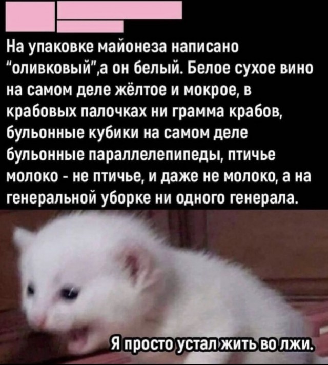 Весёлый полтишок 08.07.23