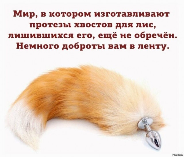 Юмор в картинках и без