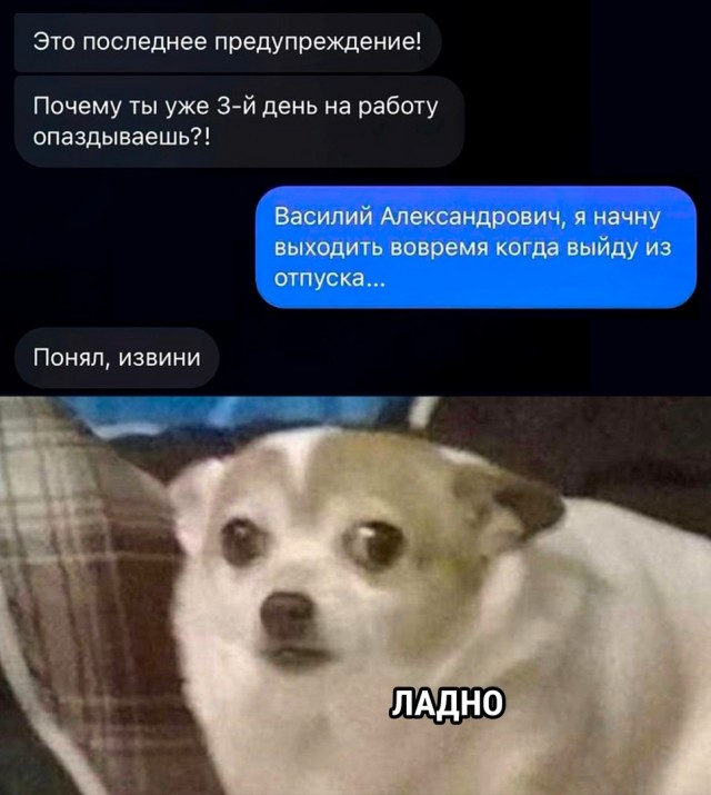 Так себе картинки 11.09.23