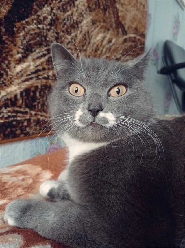 Такой маленький, а уже белорус