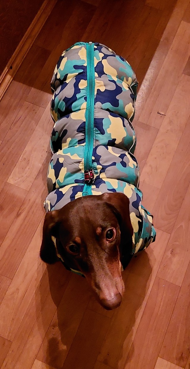 Такса?