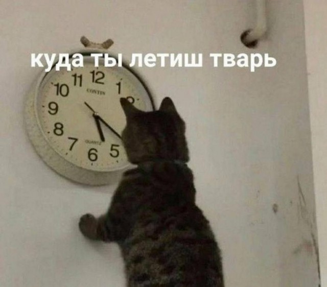 Всего понемногу. От 29.01.24