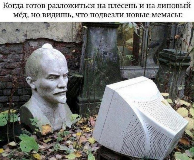 Всего понемногу. От 21.06.2024