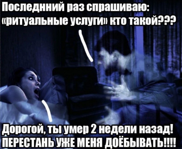 Нуштош 08.08.2024