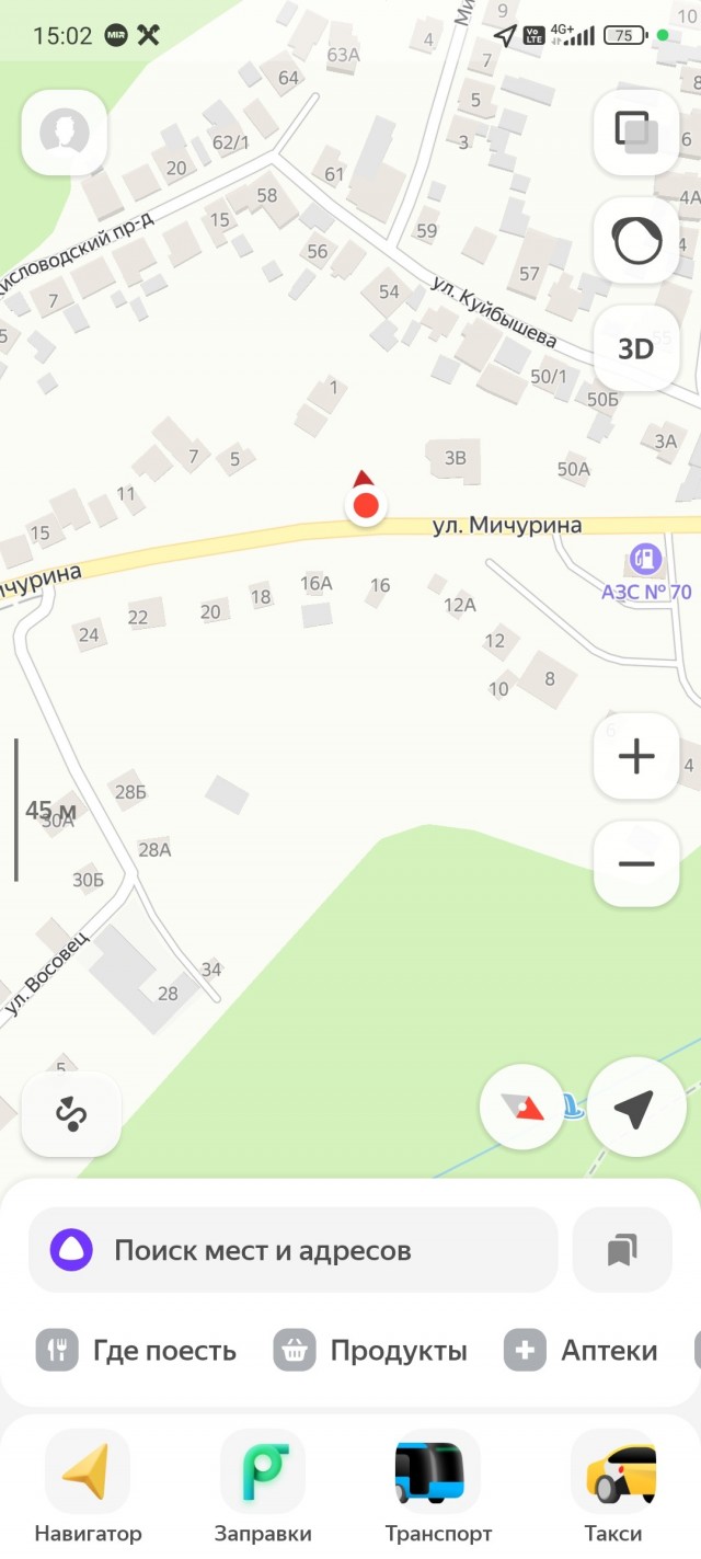 Ставрополь, котята.