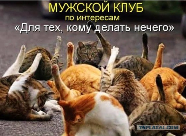 Стреляя из «Сайги-12» патронами калибра 12х76, гражданин срубил дерево