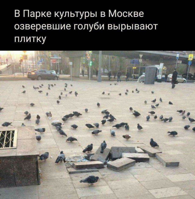 Весёлый полтишок 16.04 25.