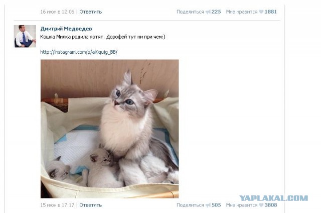 Чтобы больше не ржали над фотками.