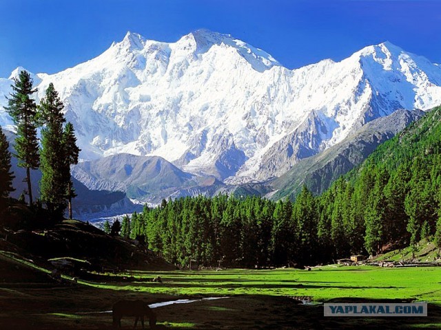 В Пакистане расстреляны туристы