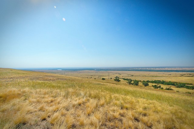 Донская степь