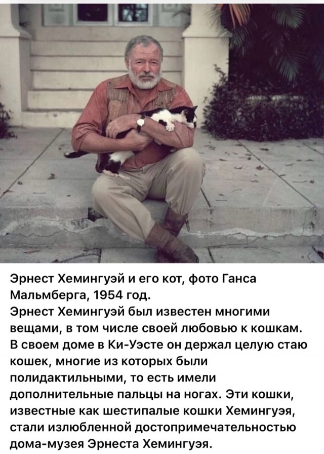 Редкие кадры и архивные снимки. 02.07.25