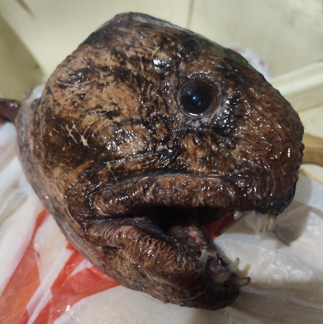 Моя пятница