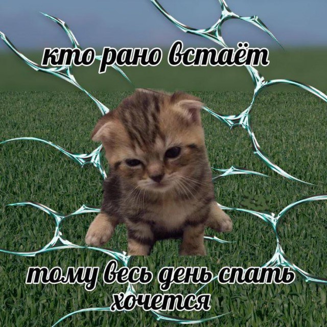 Весёлый полтишок 13.07.25