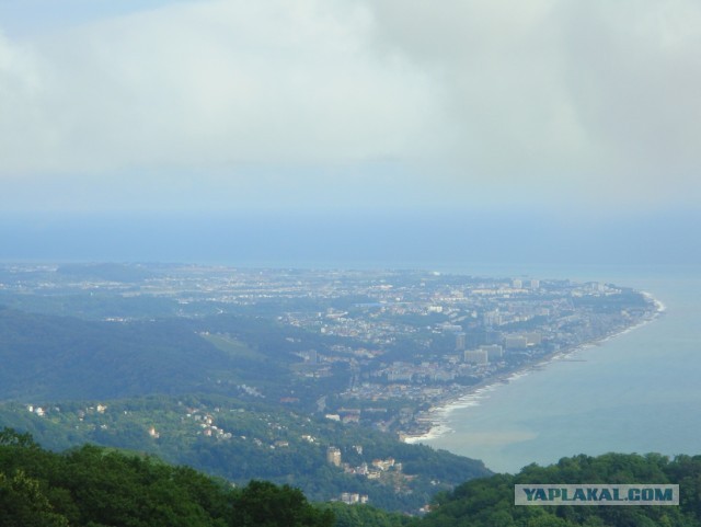 Отпуск в Сочи