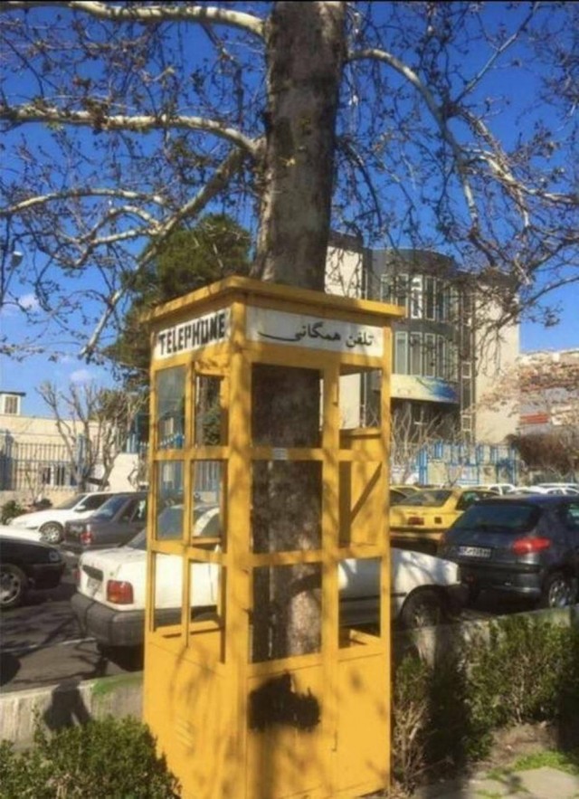 Прикольные и просто красивые картинки 10.10.2025