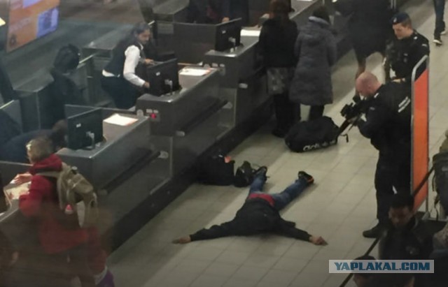 Шутки в аэропортах.