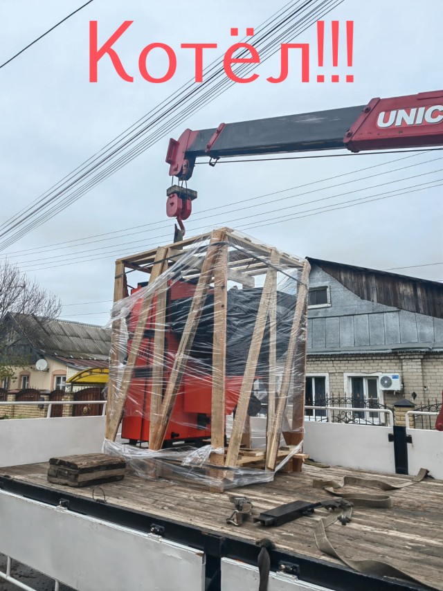 Жизнь домашнего приюта "Котоленд" 515