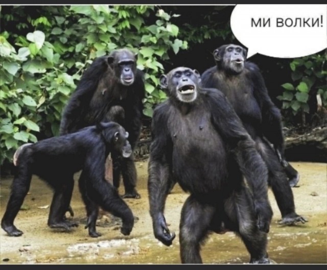 Прописал с ноги в грудину