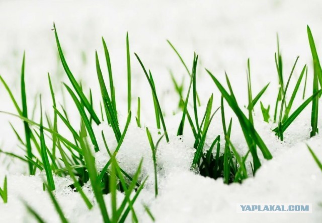 Не прогляди