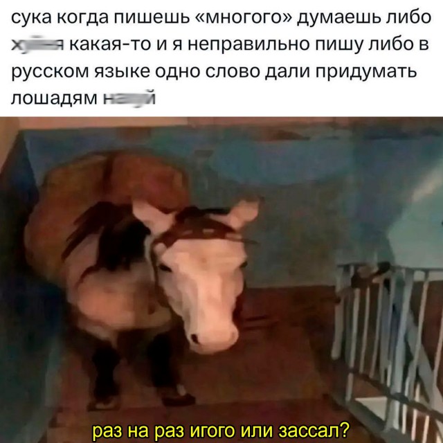 Картинки для деградации 103 (разной степени свежести)