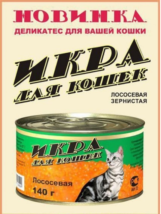 Так себе картинки 24.12.25