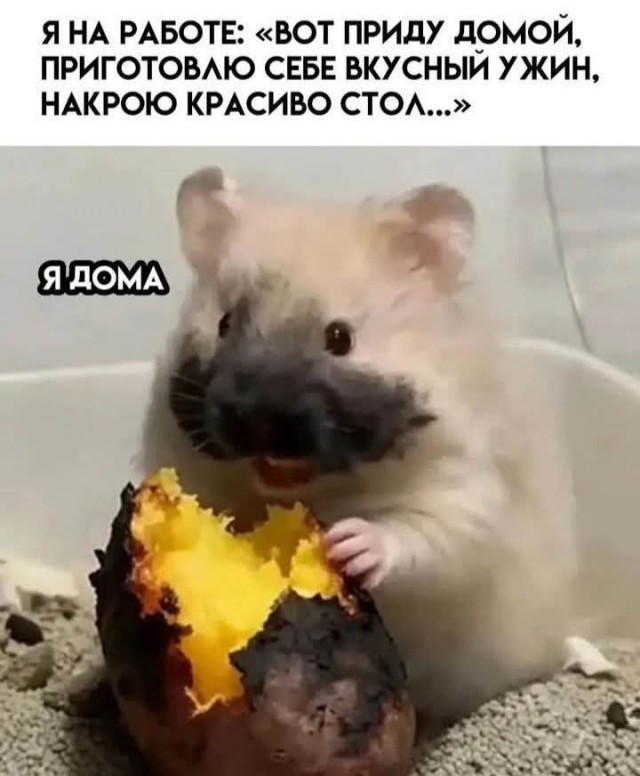 Среды картинки