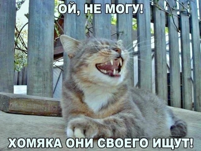 Вторника картинки