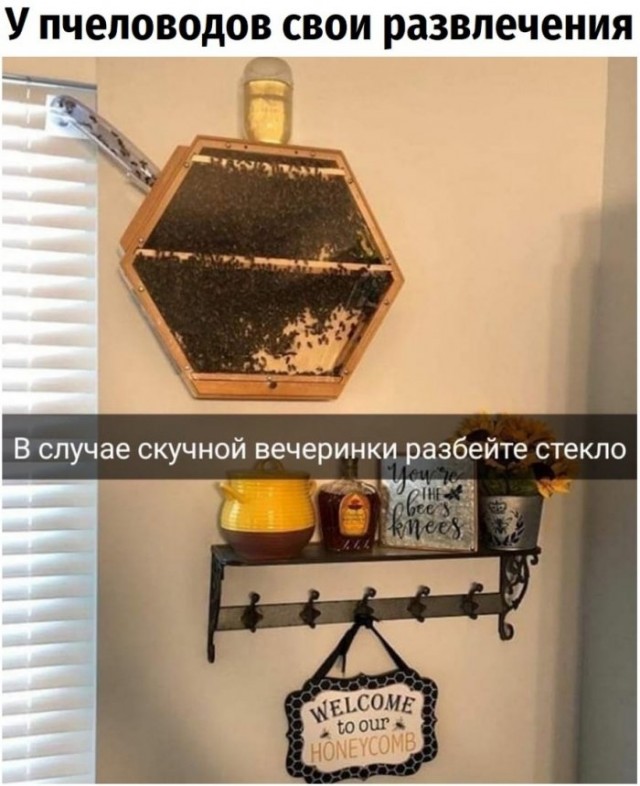 Веселые картинки в понедельник (02.03)