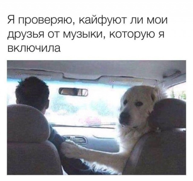 Картиночки, баянчики 29 марта