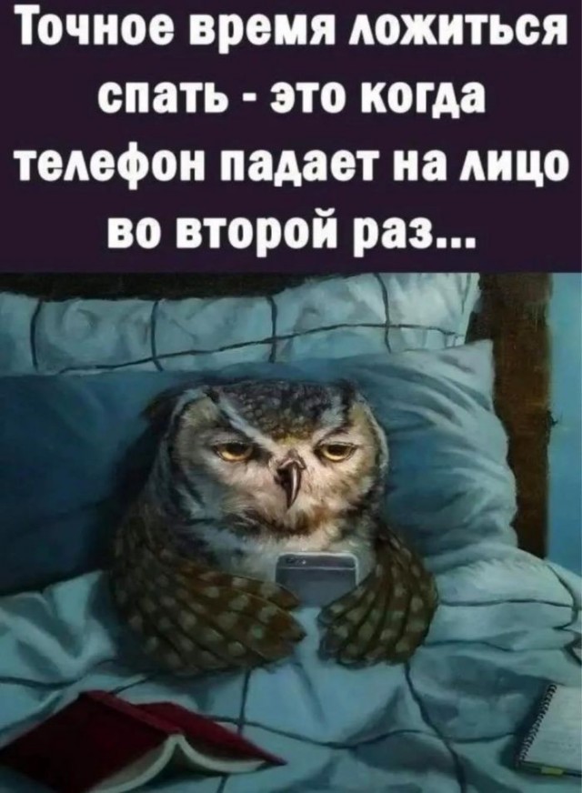 Картинки для деградации 229 (разной степени свежести)