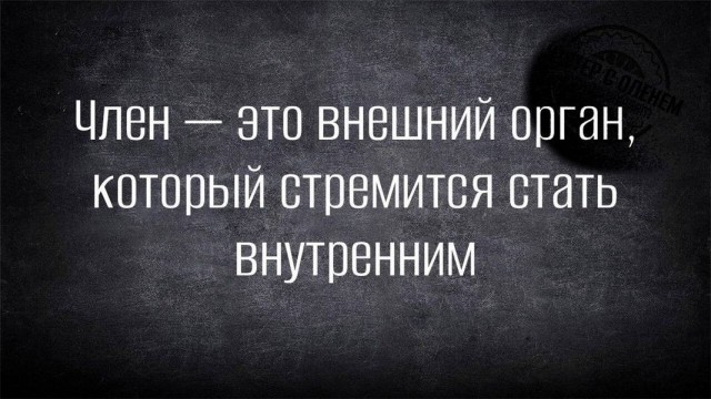 Веселые картинки в пятницу (10.07)