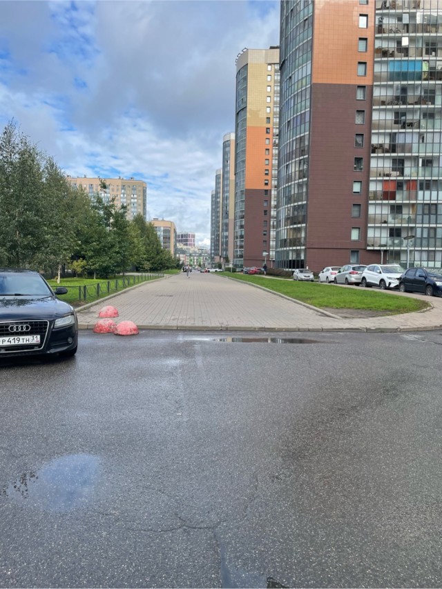 В Петербурге мужчина прыгнул на капот разворачивающейся на тротуаре Audi и получил год поселения