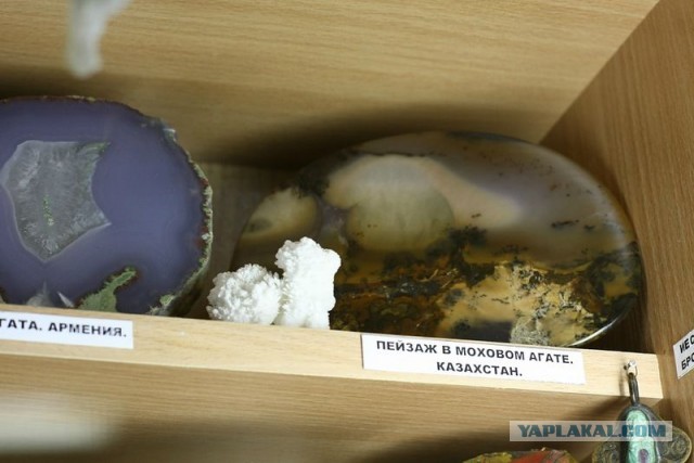 Музей шедевров природы