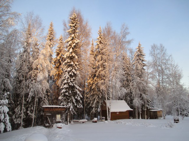 Цвет Зимы
