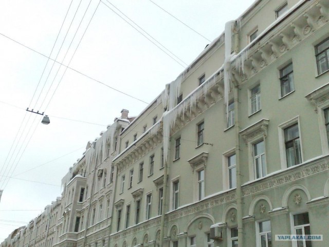 Неубранный снег и сосульки в Питере