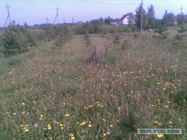 Ударные майские...