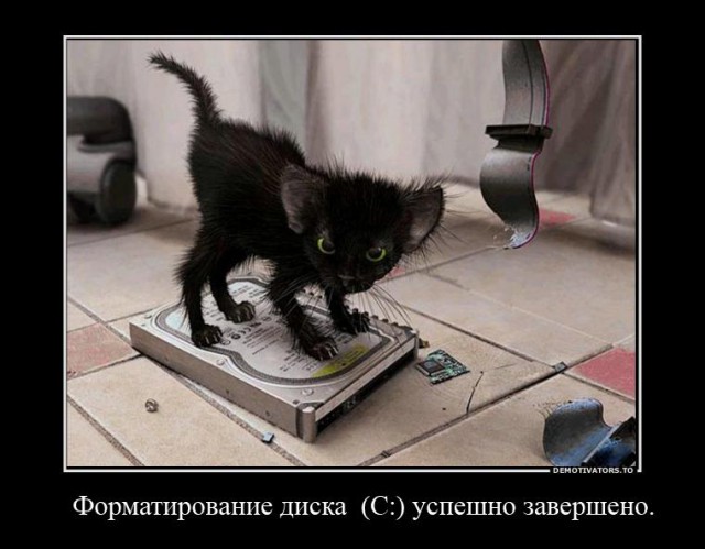 Весёлые картинки