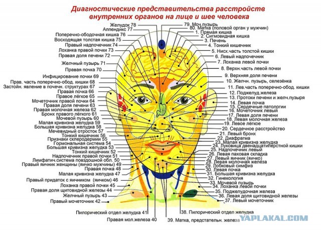 Исследую Хиромантию