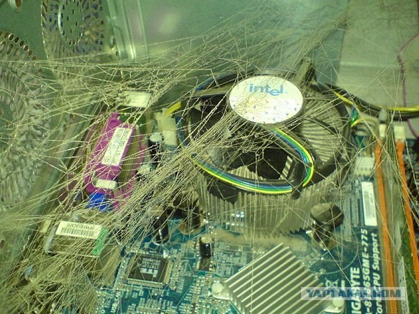 Как работает Dr.Web